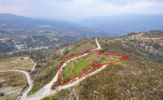 Shared agricultural field in Salamiou, Paphos 