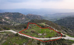 Shared agricultural field in Salamiou, Paphos 