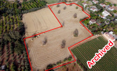Field in Agios Theodoros, Larnaca , Larnaca