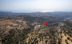 Shared agricultural field in Pegeia, Paphos 