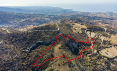 Shared agricultural field in Akoursos, Paphos 