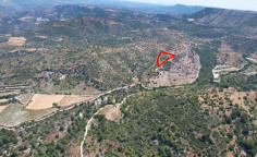 Agricultural 4739 m2 for sale in Dora
