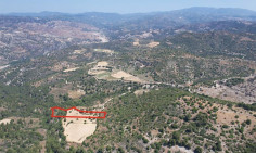 Agricultural 9365 m2 for sale in Dora