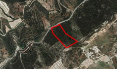 Agricultural 23210 m2 for sale in Dora