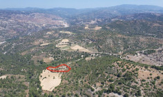 Agricultural 3679 m2 for sale in Dora