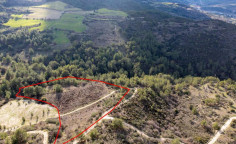 Agricultural 18395 m2 for sale in Dora
