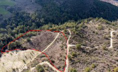 Agricultural 18395 m2 for sale in Dora