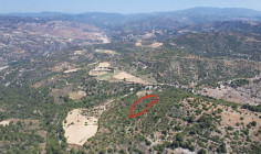 Beautiful agricultural 3345 m2 for sale in Dora