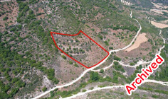 Agricultural 9031 m2 for sale in Dora