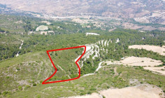 Spacious agricultural for sale in Prastio
