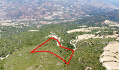 Spacious agricultural for sale in Prastio