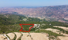 Spacious agricultural for sale in Prastio