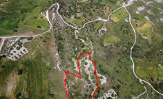 Two Shared agricultural fields in Lasa, Paphos 