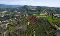 Agricultural 8504 m2 for sale in Pachna
