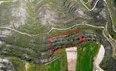 Agricultural 8504 m2 for sale in Pachna