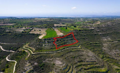 Agricultural 8504 m2 for sale in Pachna
