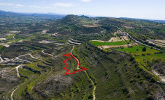 Agricultural 3805 m2 for sale in Pachna