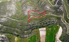 Agricultural 3805 m2 for sale in Pachna