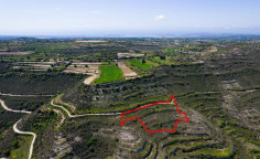 Agricultural 3805 m2 for sale in Pachna