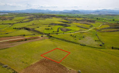 Agricultural field in Palaiometocho, Nicosia 