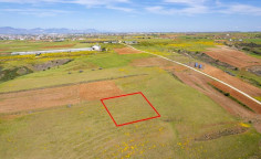 Agricultural field in Palaiometocho, Nicosia 