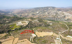 Agricultural 5686 m2 for sale in Dora