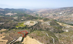 Agricultural 5686 m2 for sale in Dora