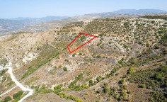 Agricultural 4683 m2 for sale in Dora