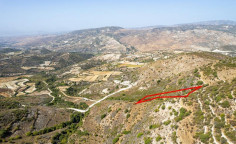 Agricultural 4683 m2 for sale in Dora