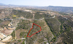 Agricultural 11037 m2 for sale in Dora