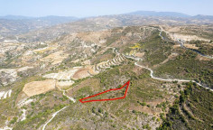 Agricultural 11037 m2 for sale in Dora