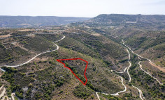 Agricultural 11037 m2 for sale in Dora
