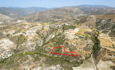 Agricultural 6875 m2 for sale in Dora