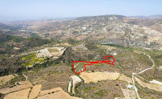 Agricultural 13379 m2 for sale in Dora