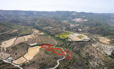 Agricultural 13379 m2 for sale in Dora