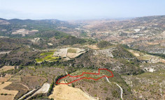 Agricultural 13379 m2 for sale in Dora