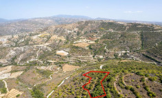 Agricultural 8362 m2 for sale in Dora