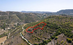 Agricultural 8362 m2 for sale in Dora