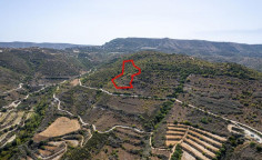 Agricultural 8362 m2 for sale in Dora