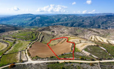 Agricultural 11096 m2 for sale in Arsos