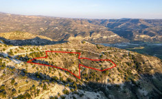 Field in Salamiou, Paphos 
