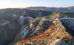 Field in Salamiou, Paphos 