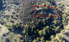 Field in mousere, Paphos 