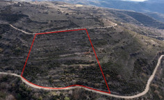 Field in Arsos, Limassol 