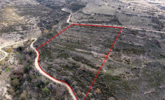 Field in Arsos, Limassol 