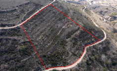 Field in Arsos, Limassol 