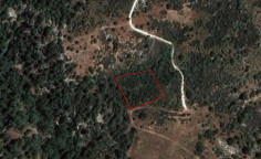 Beautiful agricultural for sale in Dora