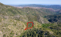Five fields in sykopetra, Limassol 