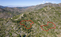 Five fields in sykopetra, Limassol 