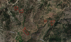 Five fields in sykopetra, Limassol 